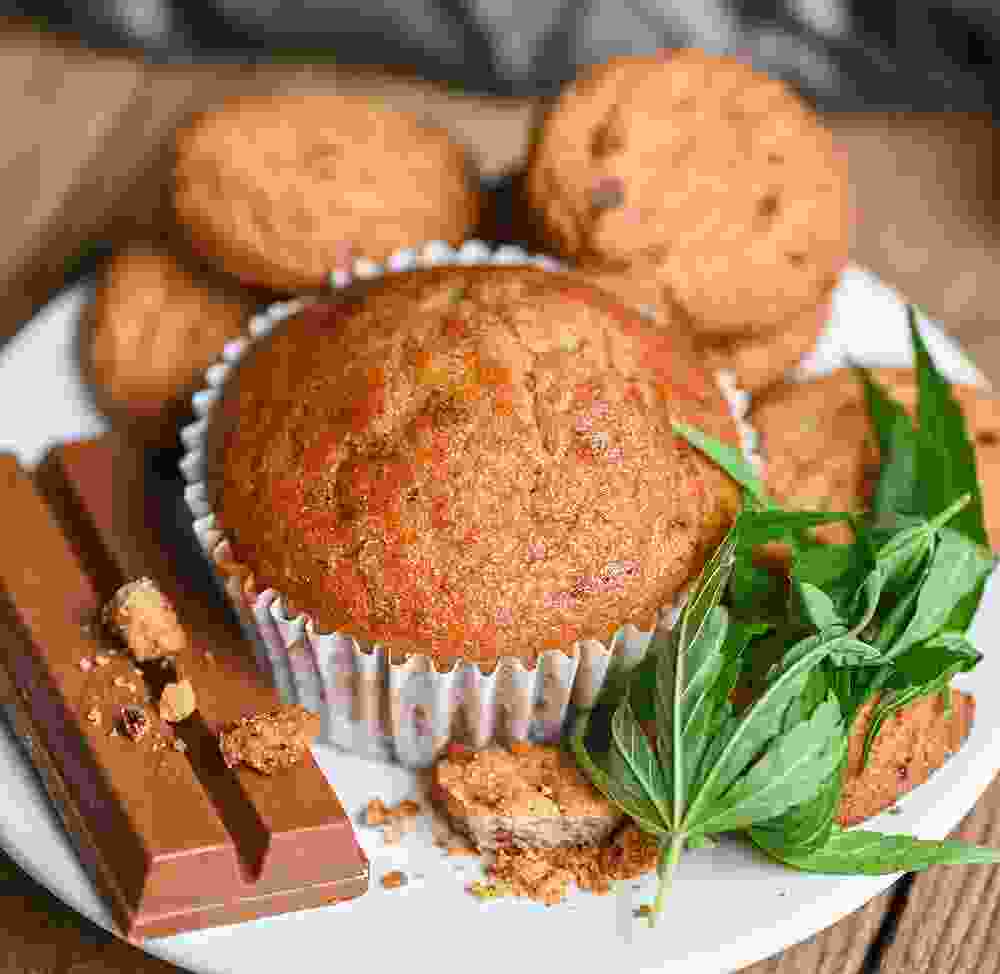 Shop Primary Image Shop Primary Image